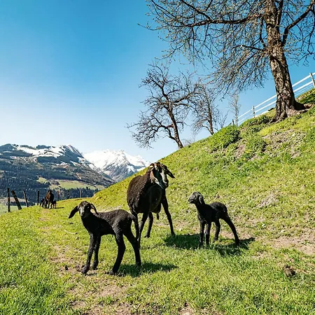 In Near Slopes Piesendorf